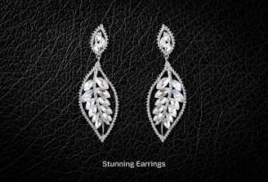 Stunning Earrings